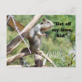 Angry Eichhörnchen Postkarte