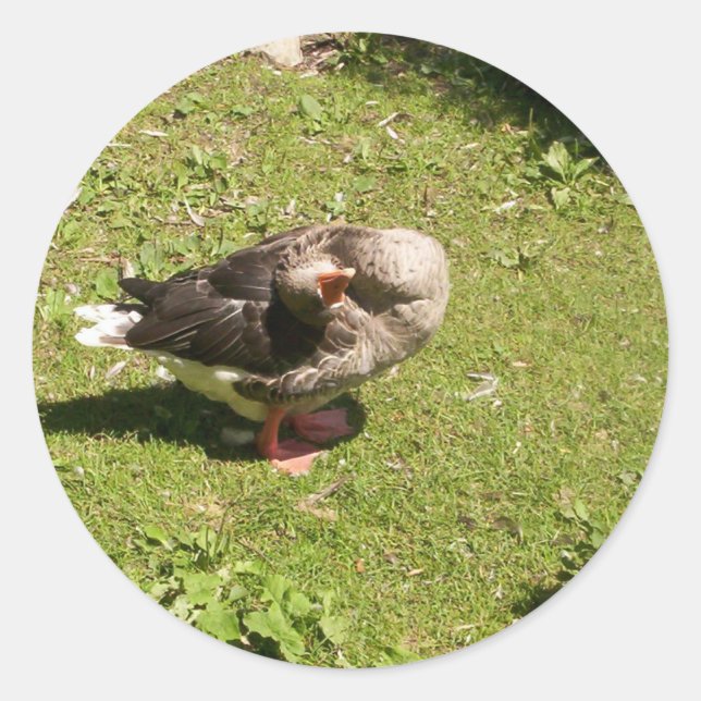 Angry Goose Stickers (Vorderseite)
