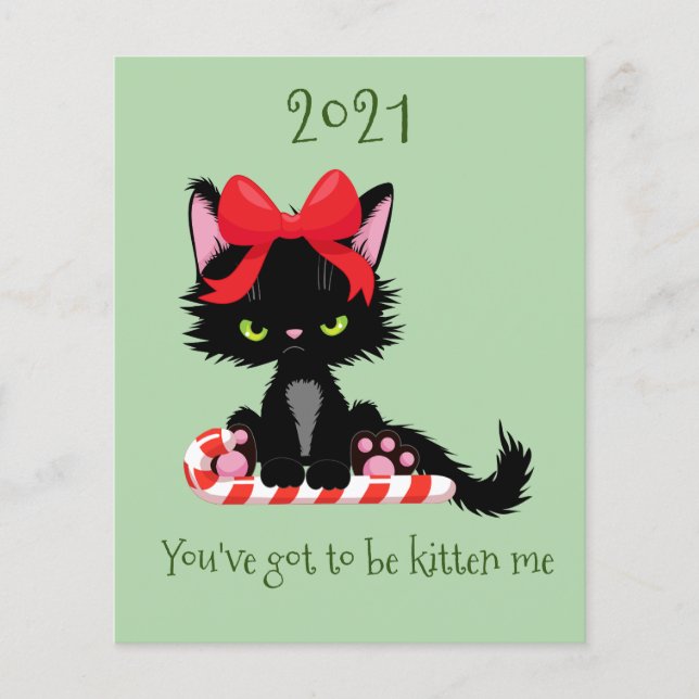 Angry Grumpy Cat 2020 Kitten Me Pun Budget Flyer (Vorne)