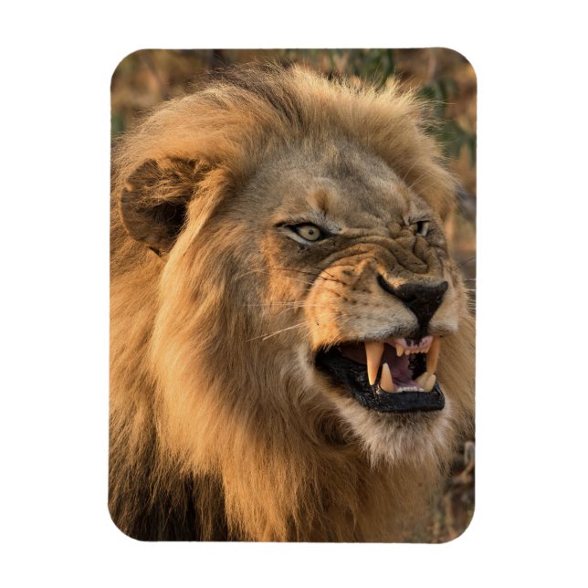 Angry LION Kühlschrank Magnet DEINE Fotovorlage (Vertikal)