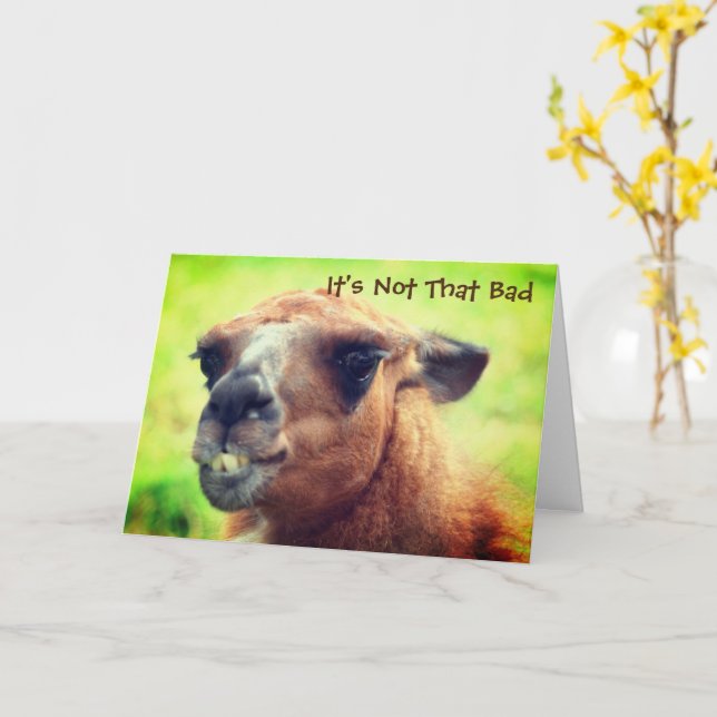 Angry Llama Humore 50. Geburtstag Karte (Gelbe Blume)