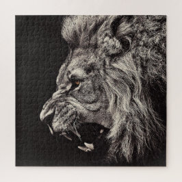 Angry Male Lion