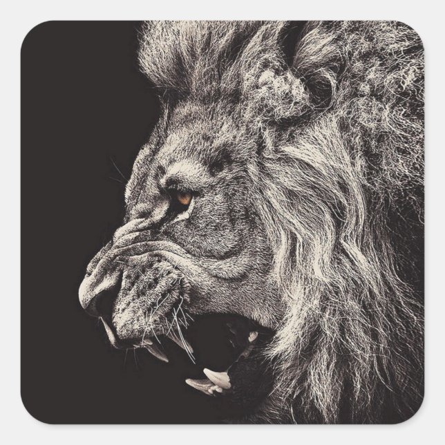 Angry Male Lion Quadratischer Aufkleber (Vorderseite)