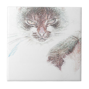 Angry Niedlich Cate Face Sketch Fliese