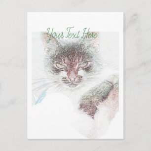 Angry Niedlich Cate Face Sketch Postkarte