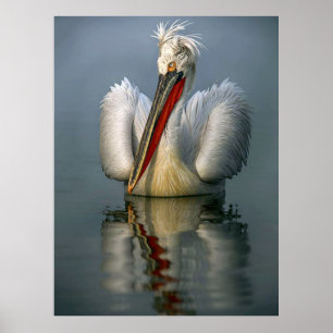 Angry Pelican L Poster