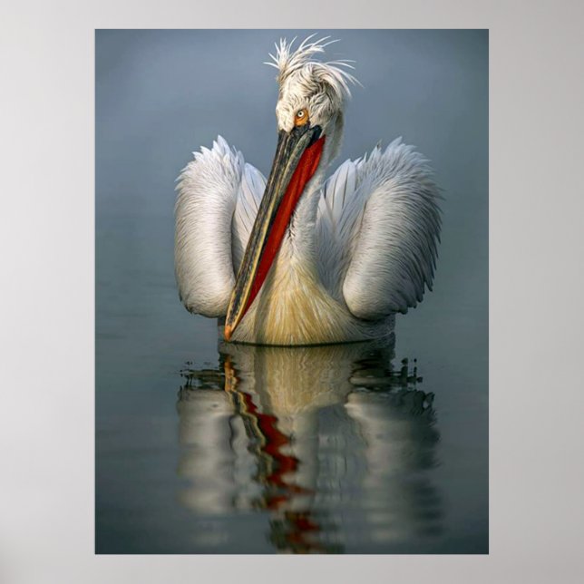 Angry Pelican L Poster (Vorne)