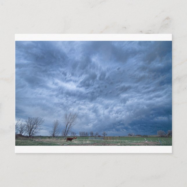 Angry Skies Postkarte (Vorderseite)