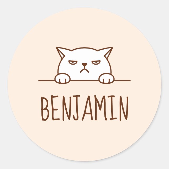 Angry White Cat Beige Individuelle Name Runder Aufkleber (Vorderseite)