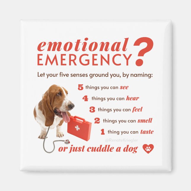 Angst - 54321 Countdown - Doctor Dog - Bassett Magnet (Vorne)