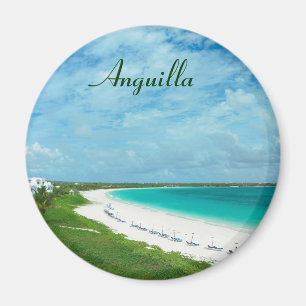 Anguilla aimant