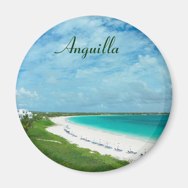 Anguilla aimant (Devant)