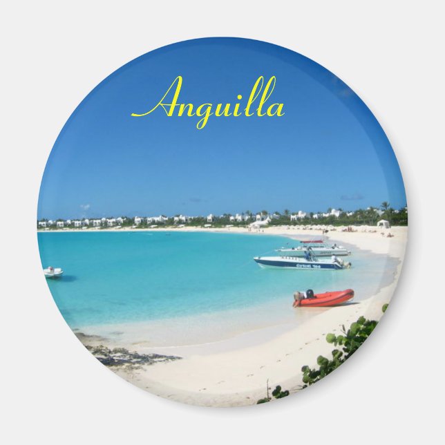 Anguilla aimant (Devant)