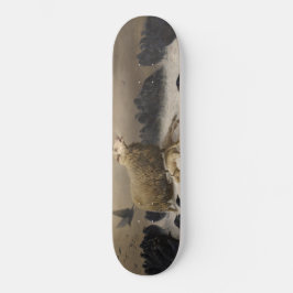 Anguisch: Schafe mit einem toten Lamm Skateboard