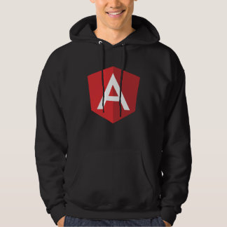 Angular js Developer  Front end Developer Angular  Hoodie