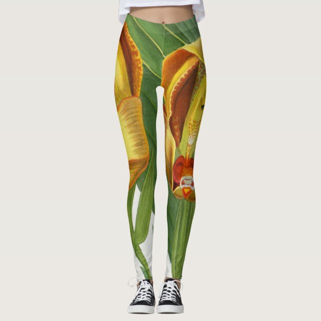 Anguloa Ruckerii Sanguine Lindenia Orchid Leggings (Vorderseite)