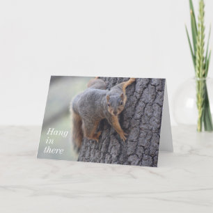 Anhaftendes Eichhörnchen Karte