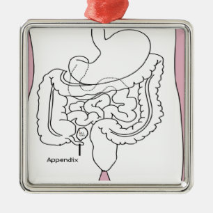 Anhang tötet you.png silbernes ornament