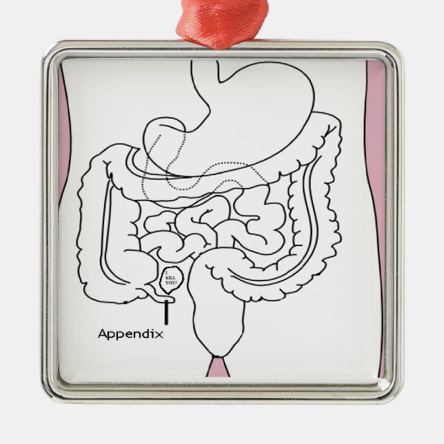 Anhang tötet you.png silbernes ornament (Vorne)