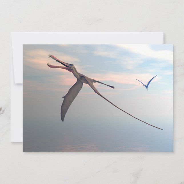 Anhang Urvögel (Vorderseite)