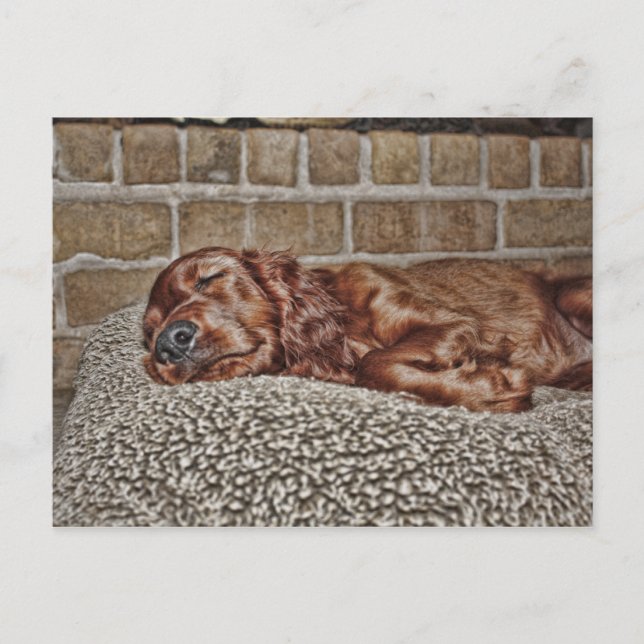 Anhänger Postkarte (Vorderseite)