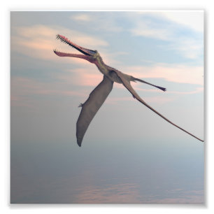 Anhanguera prähistorischer Vogel Fotodruck