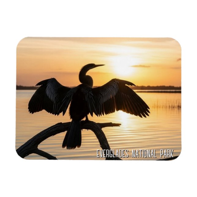 Anhinga Everglades Nationalpark Magnet (Horizontal)
