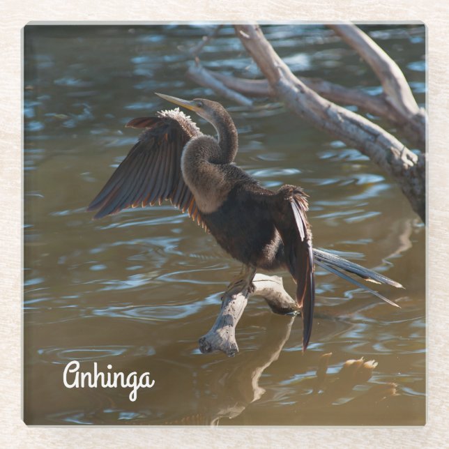 Anhinga Glasuntersetzer (Vorderseite)