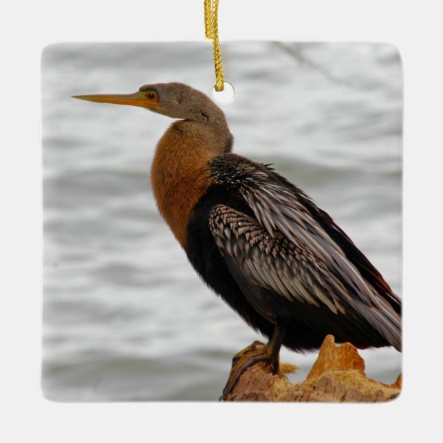 Anhinga On The Lookout Keramikornament (Vorderseite)