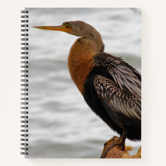 Anhinga On The Lookout Notizbuch (Vorderseite)
