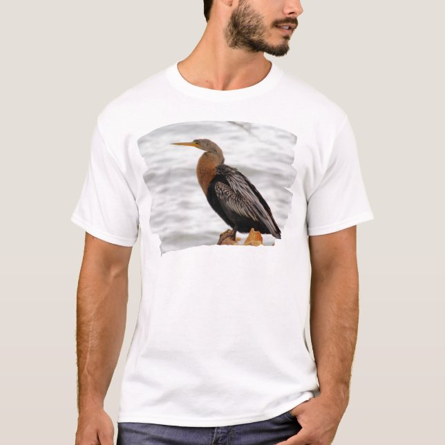 Anhinga on the Lookout T-Shirt (Vorderseite)