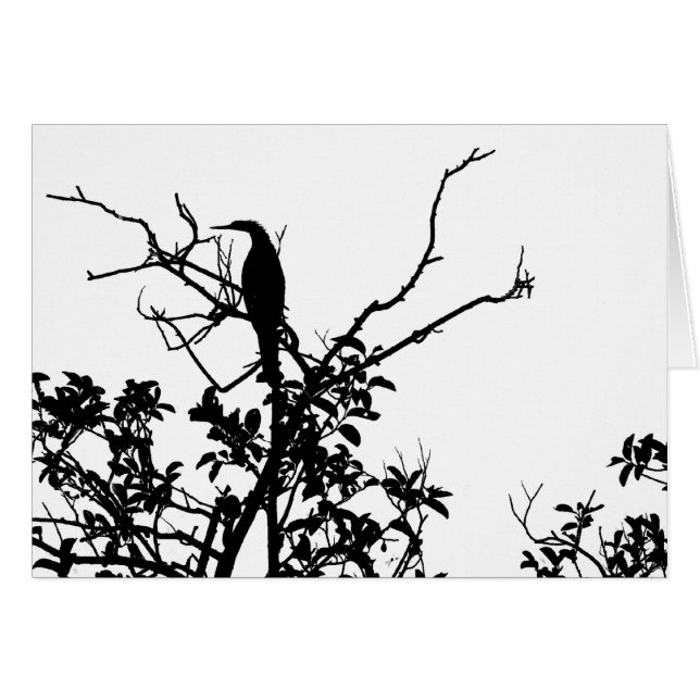 Anhinga-Vogel (Vorderseite (Horizontal))