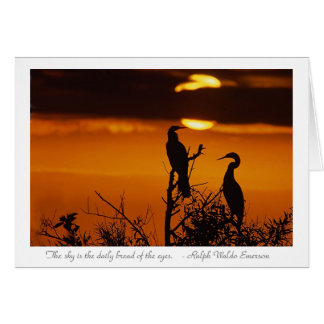 Anhingas bei Sonnenaufgang