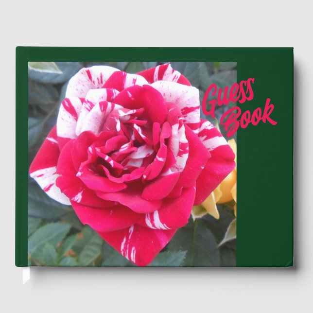 Anicia Gästebuch (Vorderseite)