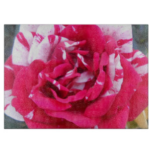 Anicia Schneidebrett