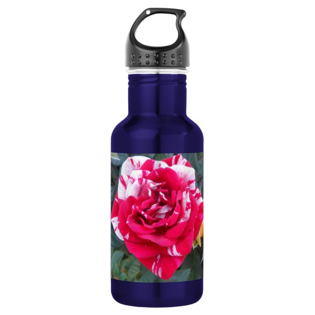 Anicia Trinkflasche (Vorderseite)