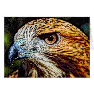Animal03