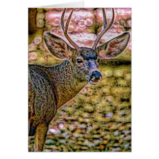 Animal29