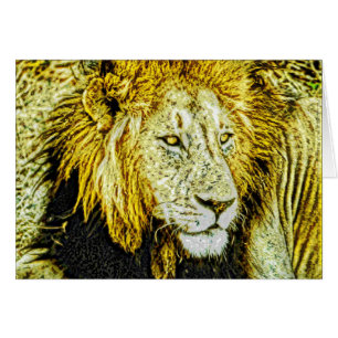 Animal31