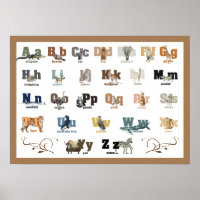 Animal Alphabet Kinderzimmer and Kid's 28 x 20 Pos