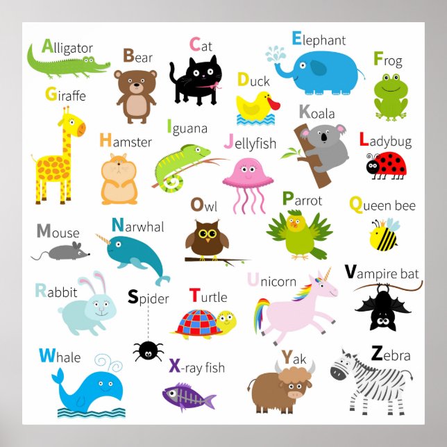 Animal Alphabet Poster (Vorne)
