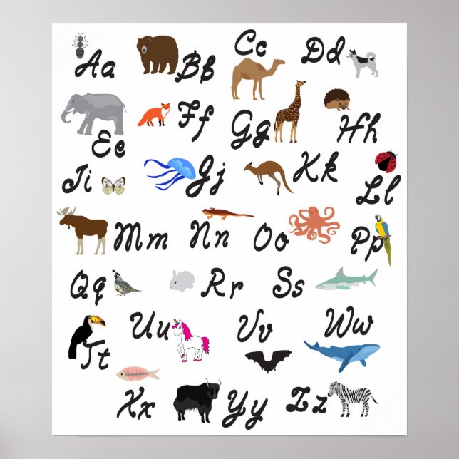 Animal Alphabet Poster. Poster (Vorne)