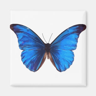 Animal Butterfly Insect Nature Morpho Blue Magnet