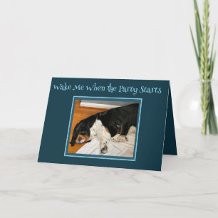"Animal de fête" Basset Hound sur la carte d'anniv