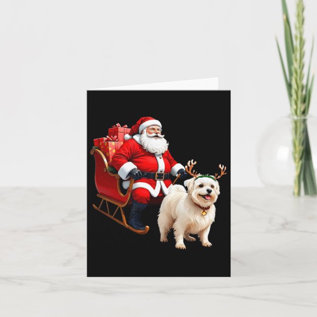 Animal Dog Lover Santa Sleigh Maltese Rentier Chr Karte (Vorderseite)