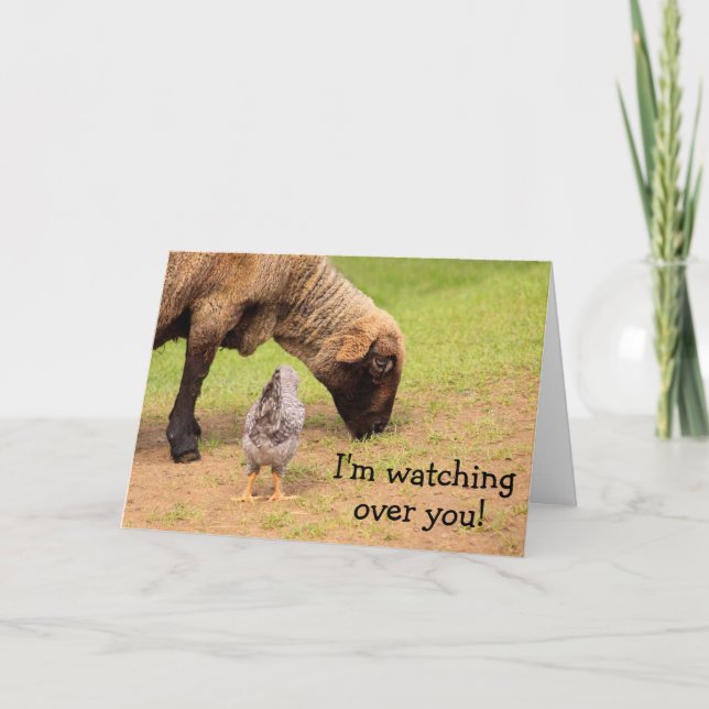 "Animal Friends Cancer Concern Card" Karte (Vorderseite)