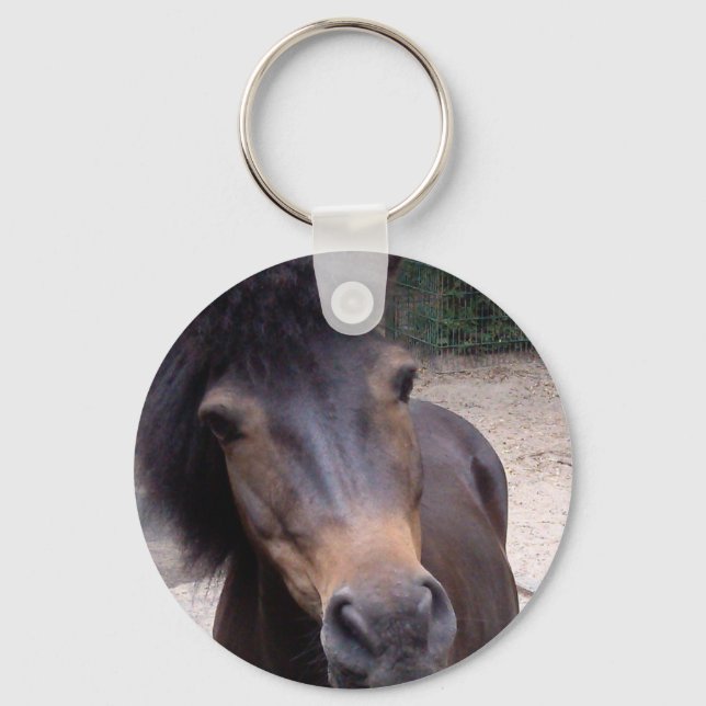 Animal, Horse, Pony Schlüsselanhänger (Vorderseite)