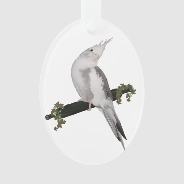 Animal mignon de perche de lierre d'oiseau de (devant)