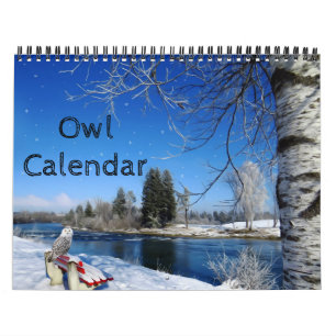 Animal Owl Bird Life Office Zuhause Destiny's Dest Kalender