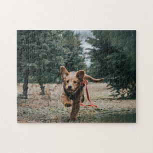 Animal Pic Niedlich Sad Puppy Welpenfotografie Tie